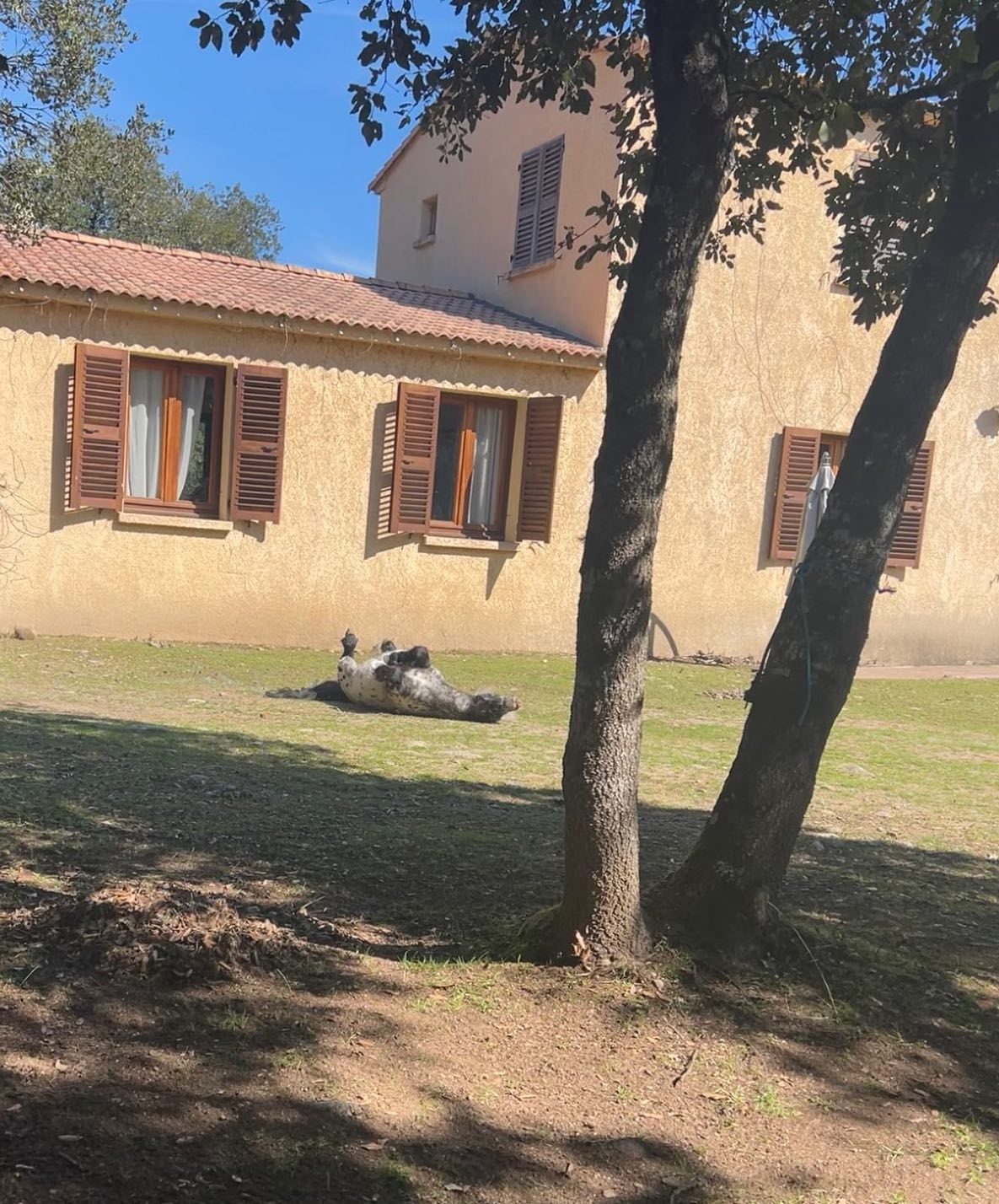Hébergement